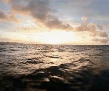 Image result for Drifting in the Ocean All Alone Meme