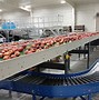 Image result for Conveyor Belt with Rollers