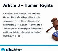 Image result for Article 6 Cartoon Art