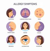 Image result for Allergy Induced Asthma