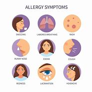 Image result for Allergy