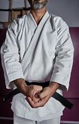 Image result for Karate Master