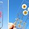 Image result for Phone Cases iPhone 6 Flower