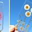Image result for Sonix Phone Flower