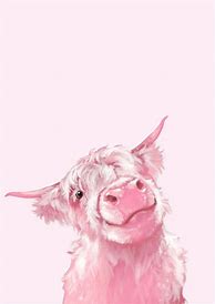 Image result for Cute Cow Print Desktop Wallpaper