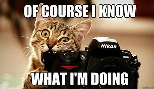 Image result for Nikon Memes