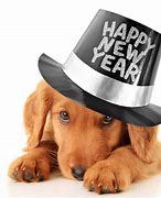 Image result for Dog New Year Resolutions