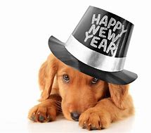 Image result for Happy New Year with Animals