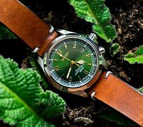 Image result for Seiko Alpinist Watch Straps