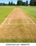 Image result for Cricket Grass