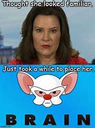 Image result for Pinky and the Brain Meme Angry