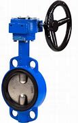 Image result for Wafer Butterfly Valve 65Mm