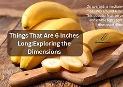 Image result for Things That Are 6 Inches
