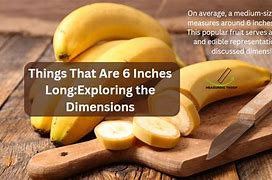 Image result for Things That Are Six and a Half Inshws Long