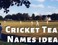 Image result for Unique Cricket Team Names