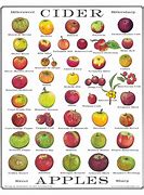 Image result for Cider Apple Varieties List