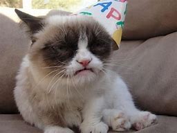 Image result for Grumpy Cat Blank