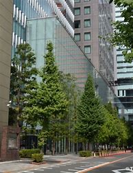 Image result for Nikkei Building