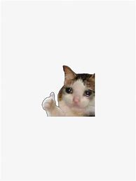 Image result for Thumbs Up Cat Sticker
