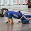 Image result for Martial Arts Exercises