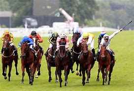 Image result for Royal Ascot Horses