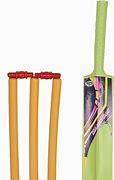 Image result for Kids Packing Up a Cricket Set