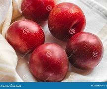 Image result for New Fruits Plumcot