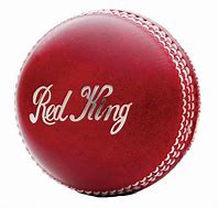 Image result for SwingBall Cricket