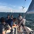 Image result for S2 9.1 Sailboat