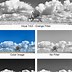 Image result for Camera Filters for Black and White