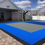 Image result for Purple Basketball Court