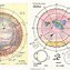 Image result for Retina Drawing Chart