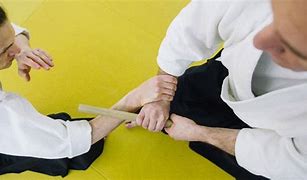 Image result for Martial Arts That with S