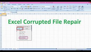 Image result for Corrupted Excel File Download