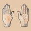 Image result for Copper Wire Hand Shape