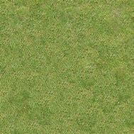 Image result for Grass Texture Top View Free