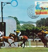 Image result for Tomorrow Horse Racing Cards