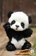 Image result for Cute Sad Panda