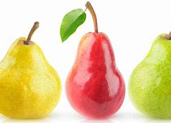 Image result for Types of Pears Fruit