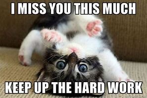 Image result for Missing You Sad Cat Meme