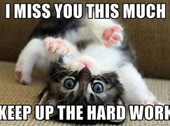 Image result for Miss You Funny