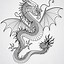 Image result for Chinese Dragon Sketches