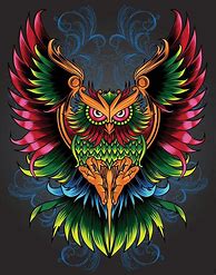 Image result for Colourful Owl