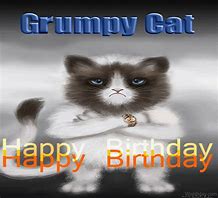 Image result for Grumpy Cat Mike Happy Birthday