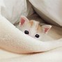 Image result for Cutest Baby Animals in the Universe
