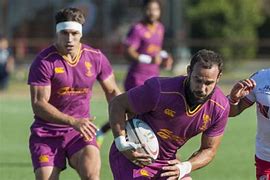 Image result for fiamme_oro_rugby