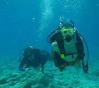 Image result for Diving Wetsuits