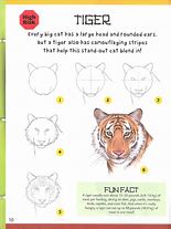 Image result for How to Draw Wild Animals Step by Step