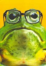 Image result for French Frog Glasses