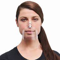 Image result for Transparent Face Mask